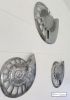 Metal Nautilus Wall Hanging Art (set of 3)